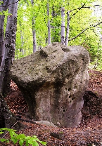 /media/data/upload/Turystyka-Historia/Krajobrazy Bochenszcz/Przyr-Skalne grzyby/2. Grzyb skalny.jpg